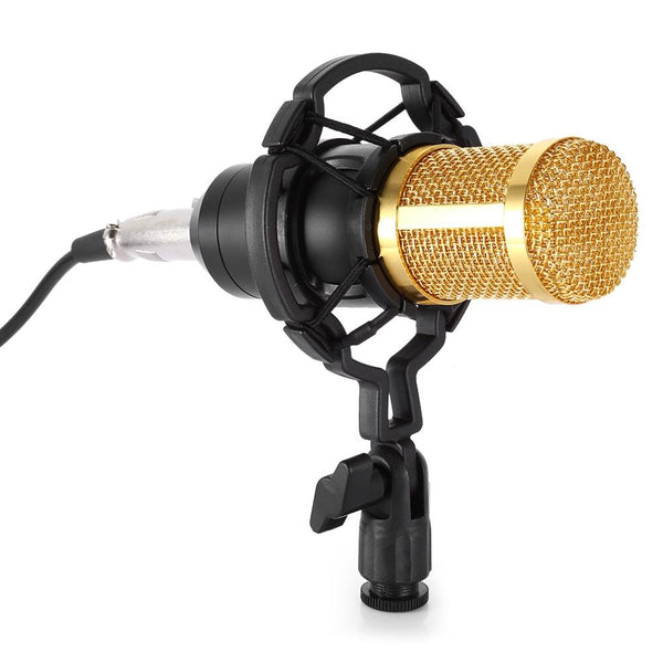 Recording Condenser Microphone Set