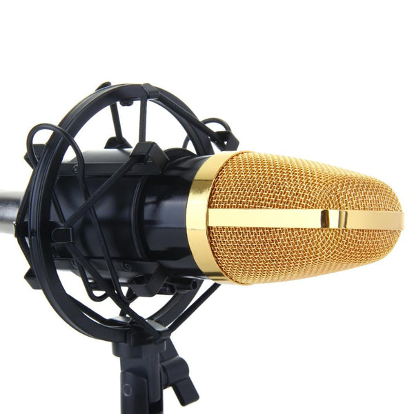 Voice Recording Microphone