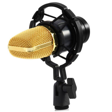 Voice Recording Microphone