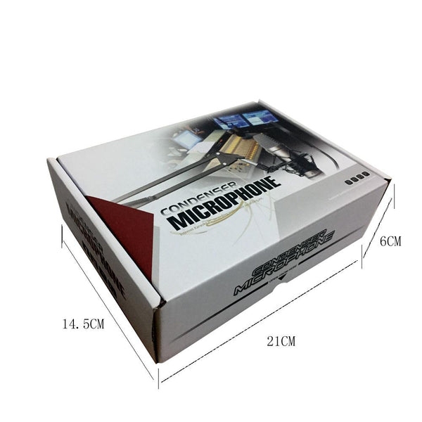 Voice Recording Microphone