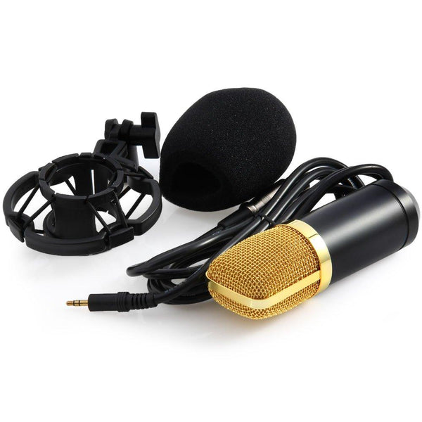 Voice Recording Microphone