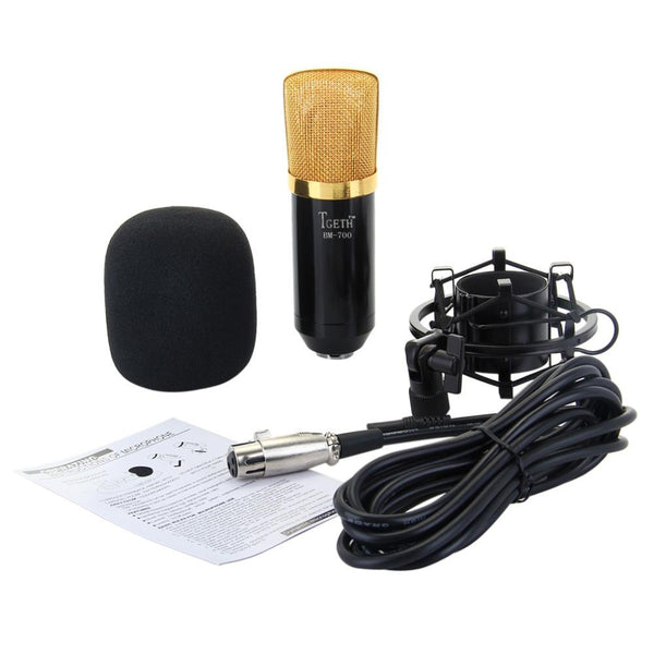 Voice Recording Microphone