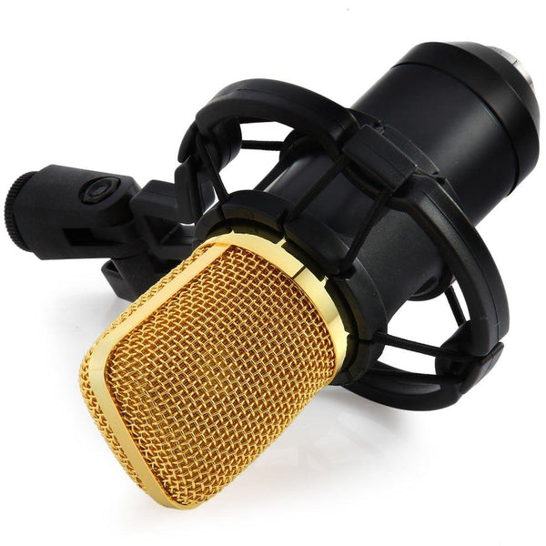 Voice Recording Microphone