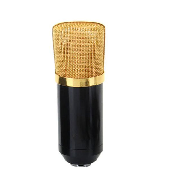 Voice Recording Microphone