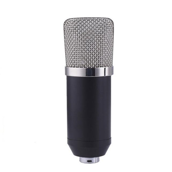 Voice Recording Microphone
