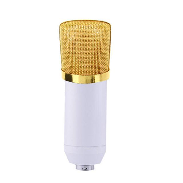 Voice Recording Microphone