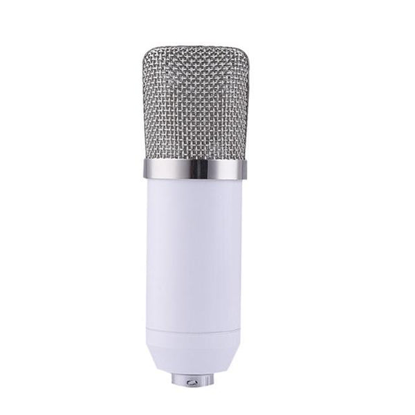 Voice Recording Microphone